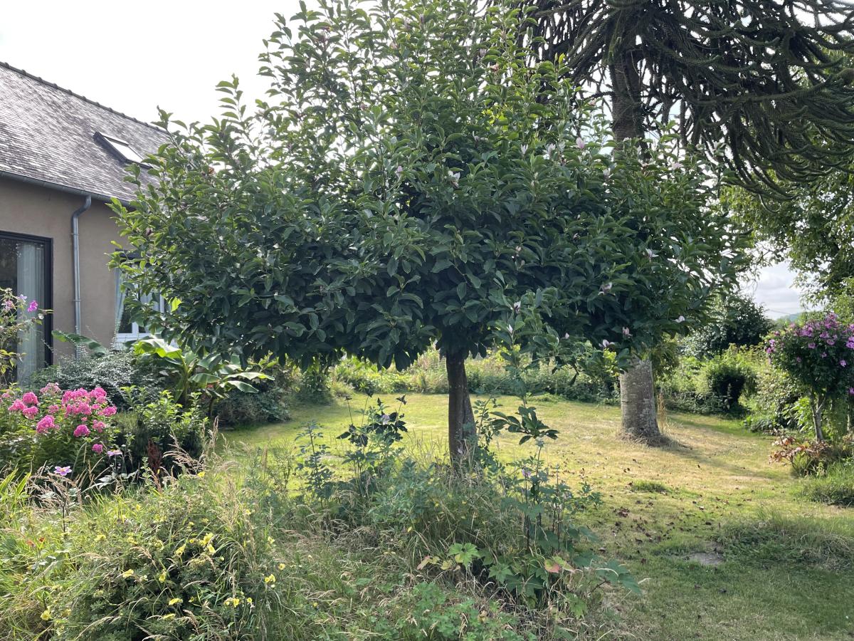 maison à La Chèze